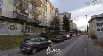 Adaptiran Stan 55m2 (60) / Koševsko brdo