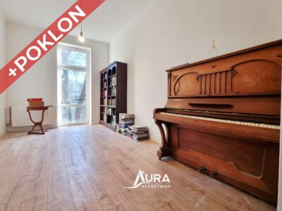 Renoviran stan / 1 spr./ Džidžikovac, Centar