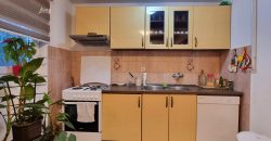 Kuća na prostranom placu / Ilidža