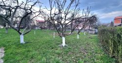 Kuća na prostranom placu / Ilidža