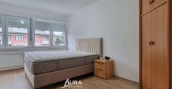 Renoviran i namješten stan / Centar, Jezero