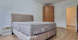 Renoviran i namješten stan / Centar, Jezero