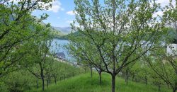 Kuća sa pogledom na Jablaničko jezero
