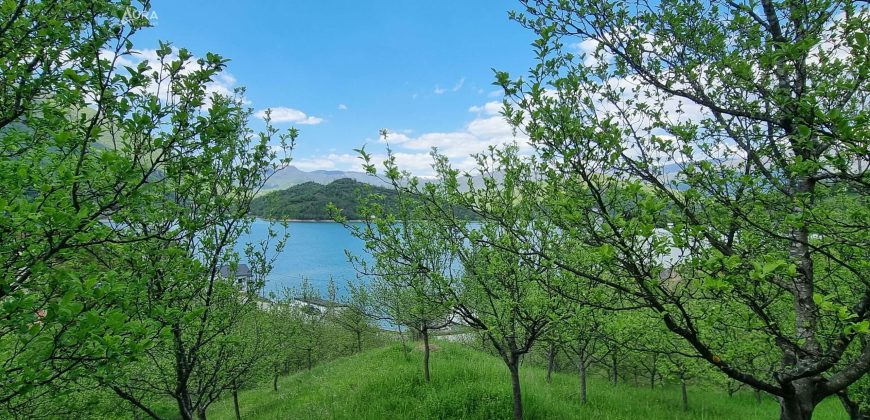 Kuća sa pogledom na Jablaničko jezero