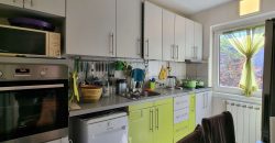 Renoviran stan / Centar – Koševsko Brdo
